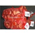 castanha fresca 30-40 pçs / kg